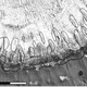 Illustration for article titled Drumlins Are The Easy-To-Identify, Hard-To-Understand Glacial Landform
